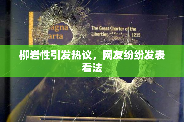 柳岩性引发热议，网友纷纷发表看法