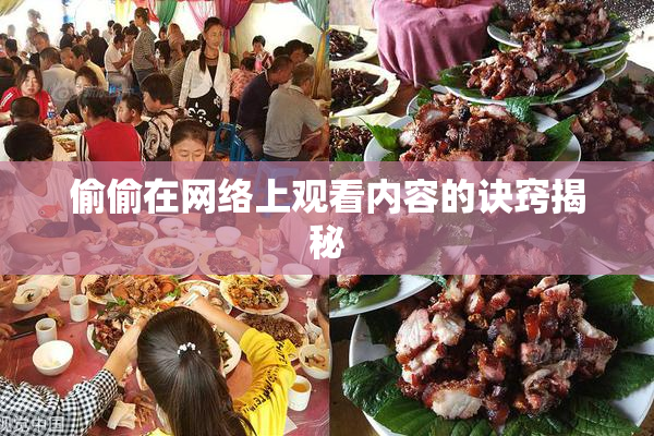 偷偷在网络上观看内容的诀窍揭秘