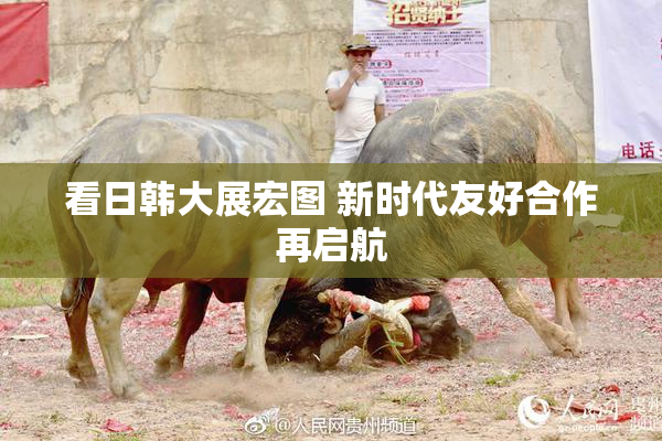 看日韩大展宏图 新时代友好合作再启航