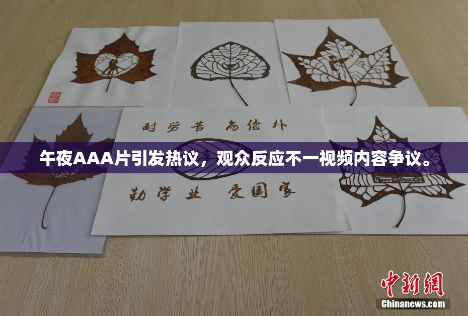 午夜AAA片引发热议，观众反应不一视频内容争议。