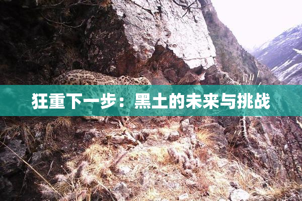 狂重下一步：黑土的未来与挑战