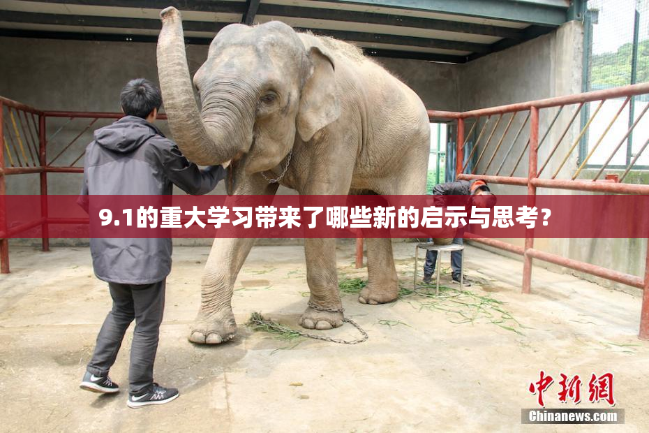 9.1的重大学习带来了哪些新的启示与思考？