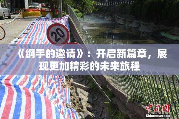 《纲手的邀请》：开启新篇章，展现更加精彩的未来旅程