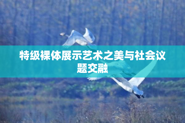 特级裸体展示艺术之美与社会议题交融