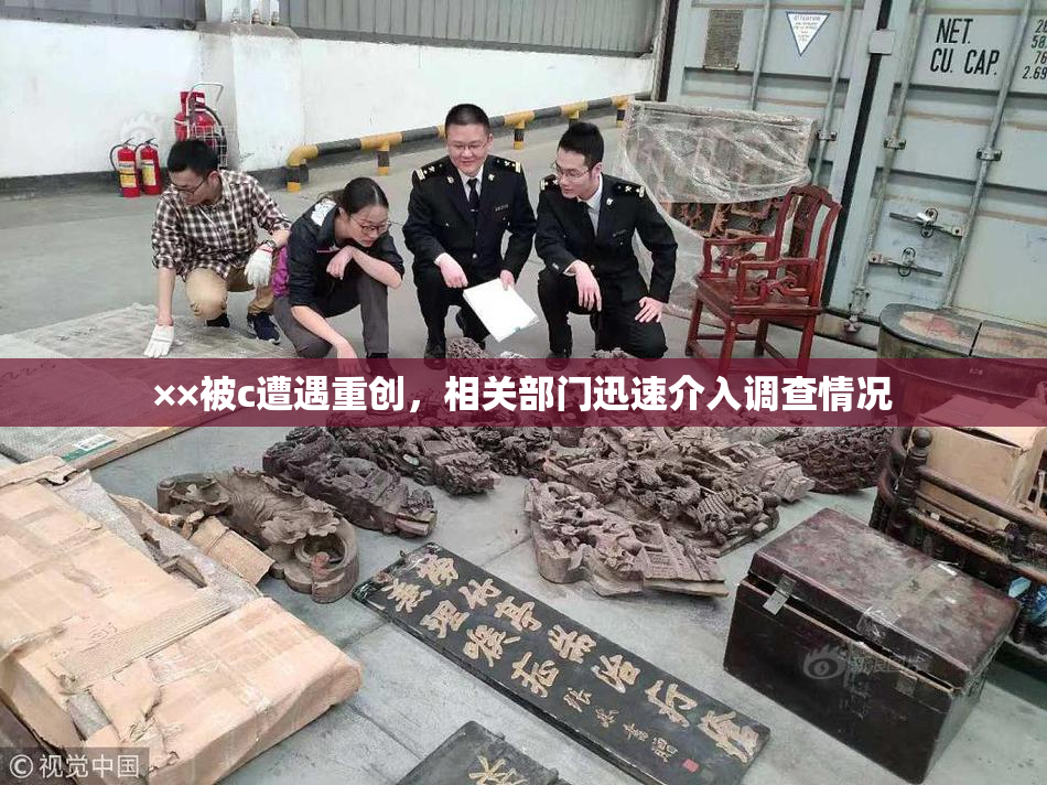 ××被c遭遇重创，相关部门迅速介入调查情况