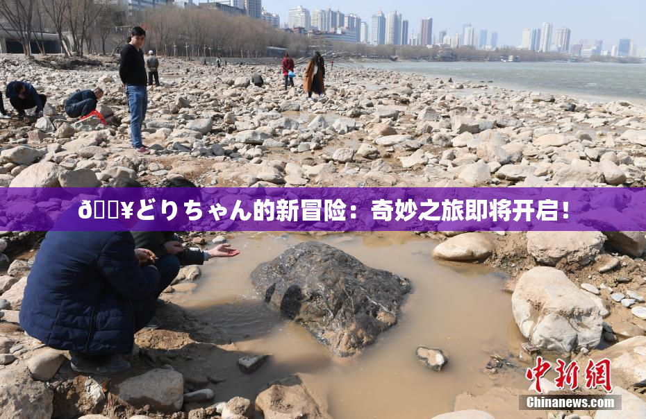 🔥どりちゃん的新冒险：奇妙之旅即将开启！
