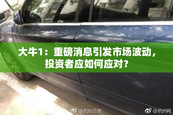 大牛1：重磅消息引发市场波动，投资者应如何应对？