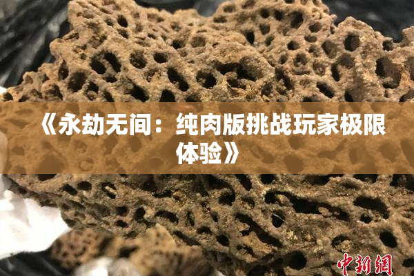 《永劫无间：纯肉版挑战玩家极限体验》