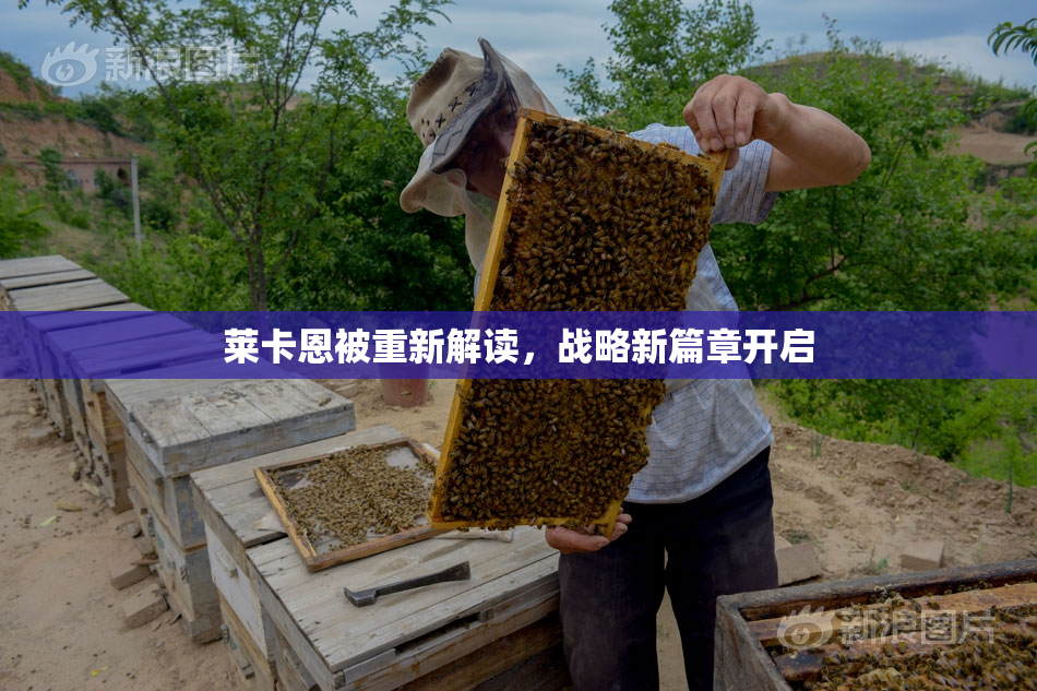 莱卡恩被重新解读，战略新篇章开启