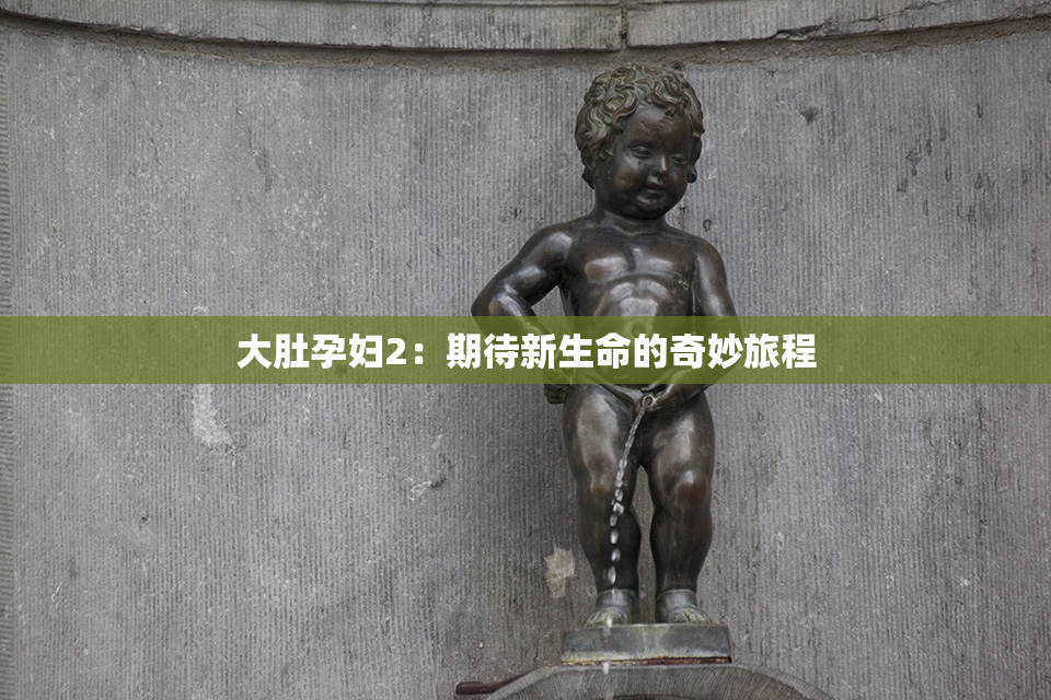 大肚孕妇2：期待新生命的奇妙旅程