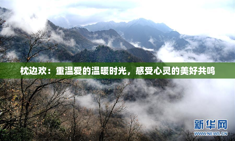 枕边欢：重温爱的温暖时光，感受心灵的美好共鸣
