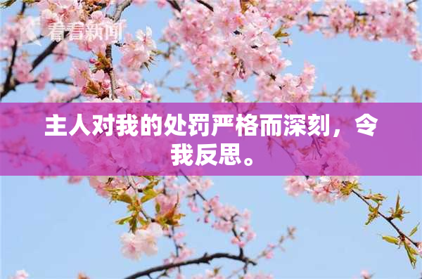 主人对我的处罚严格而深刻，令我反思。