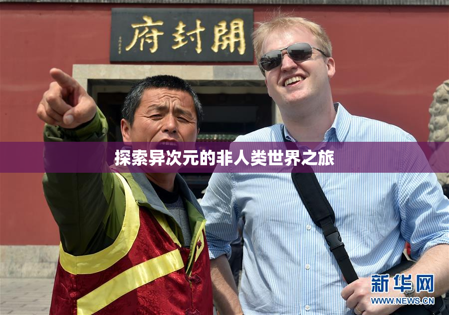 探索异次元的非人类世界之旅