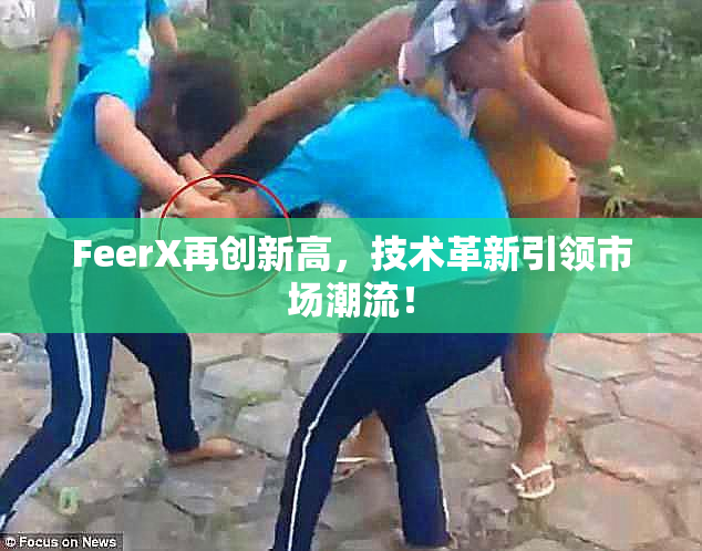 FeerX再创新高，技术革新引领市场潮流！