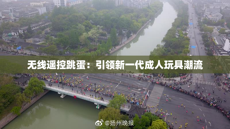 无线遥控跳蛋：引领新一代成人玩具潮流