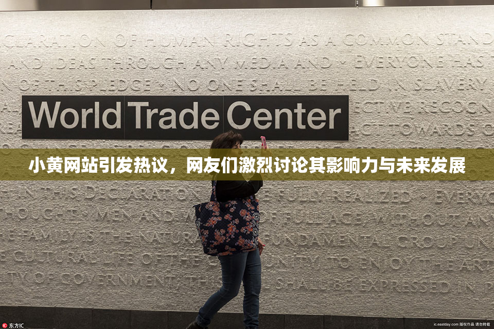 小黄网站引发热议，网友们激烈讨论其影响力与未来发展
