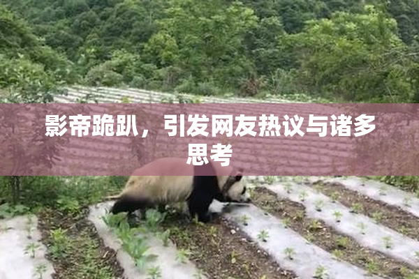 影帝跪趴，引发网友热议与诸多思考