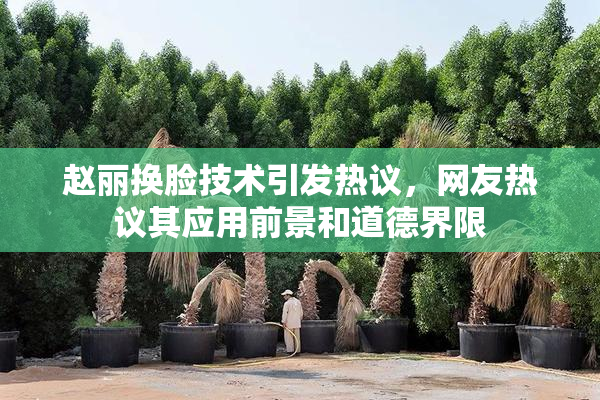 赵丽换脸技术引发热议，网友热议其应用前景和道德界限