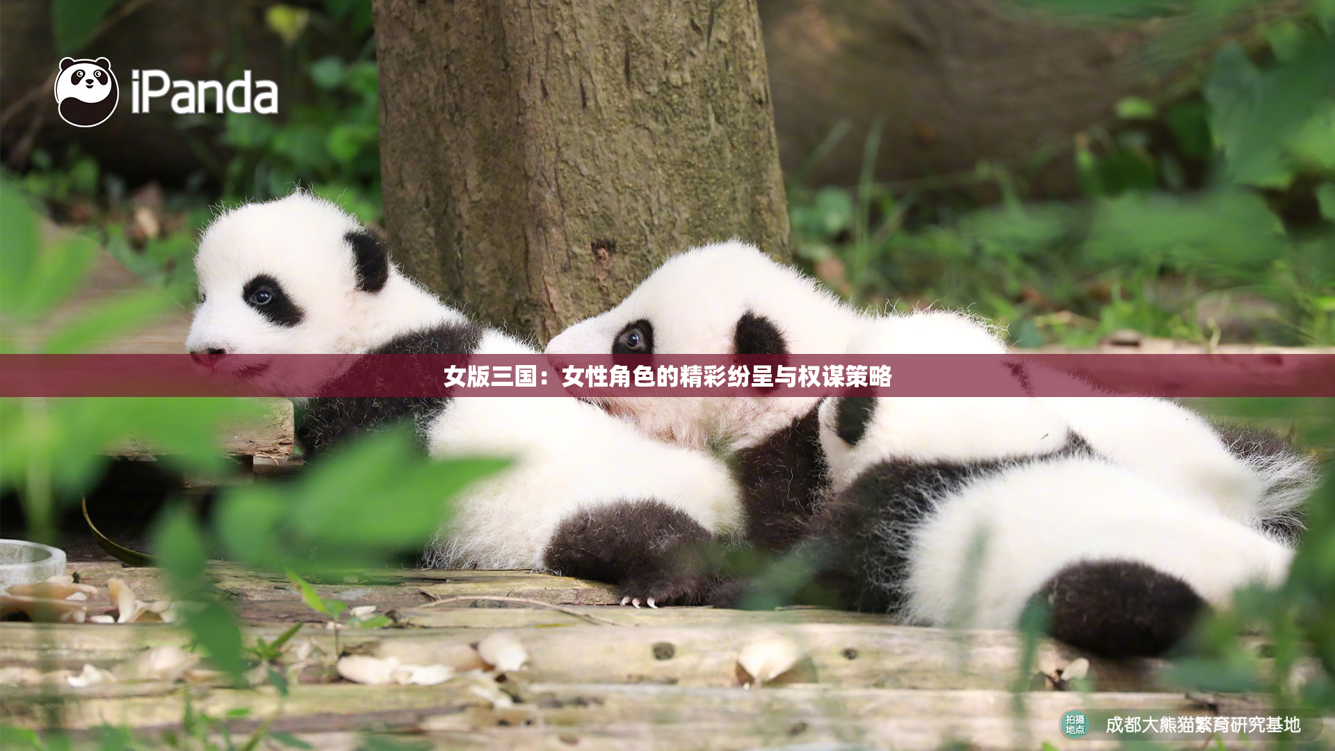 女版三国：女性角色的精彩纷呈与权谋策略