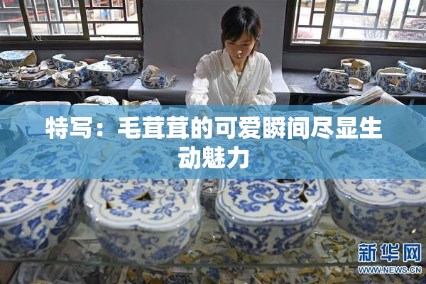特写：毛茸茸的可爱瞬间尽显生动魅力