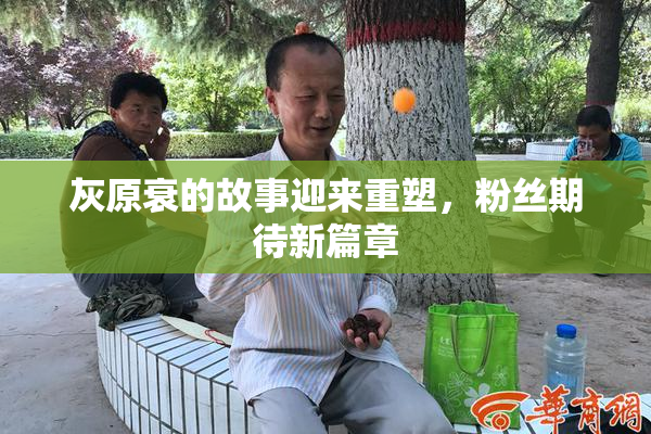 灰原衰的故事迎来重塑，粉丝期待新篇章