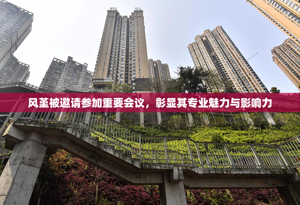 风堇被邀请参加重要会议，彰显其专业魅力与影响力