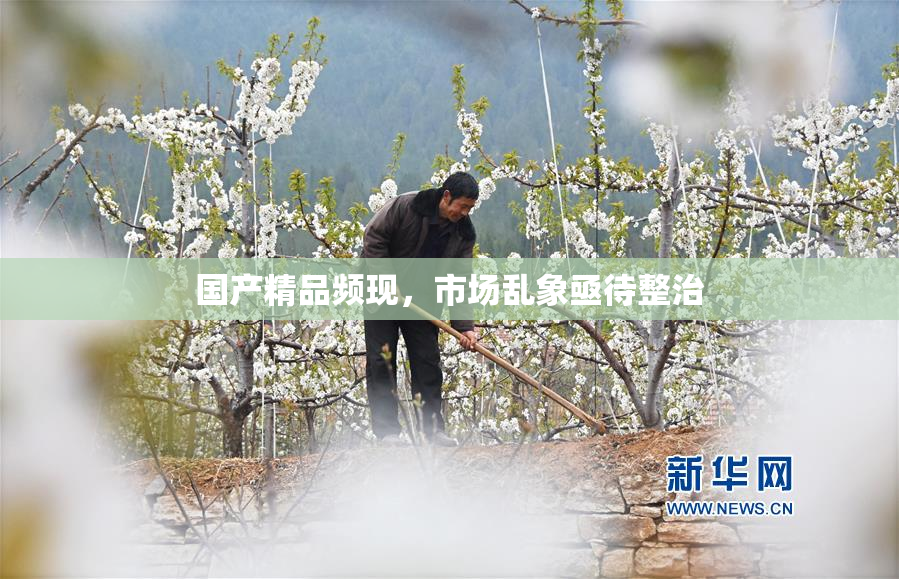 国产精品频现，市场乱象亟待整治