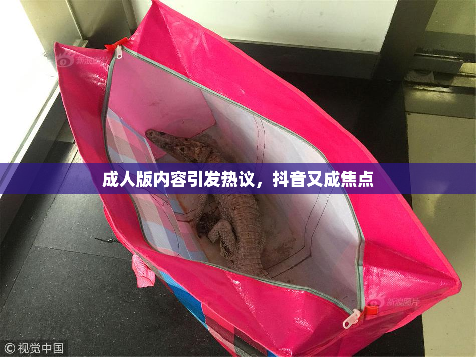 成人版内容引发热议，抖音又成焦点