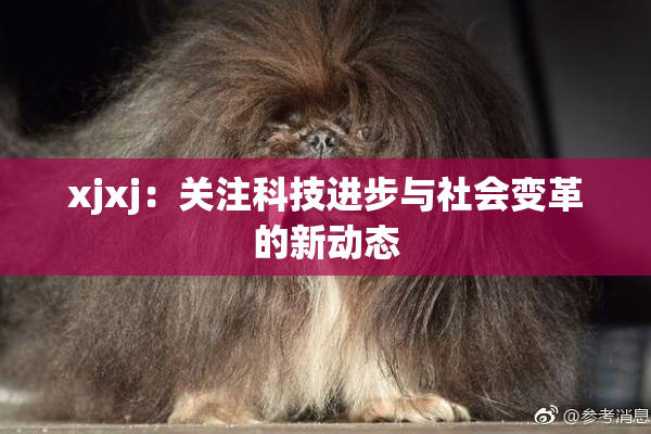 xjxj：关注科技进步与社会变革的新动态