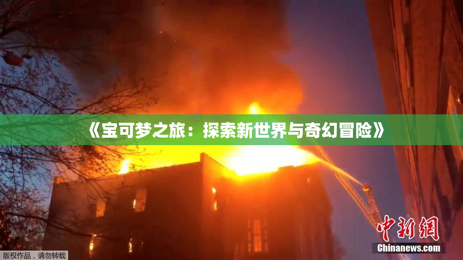 《宝可梦之旅：探索新世界与奇幻冒险》