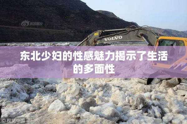 东北少妇的性感魅力揭示了生活的多面性