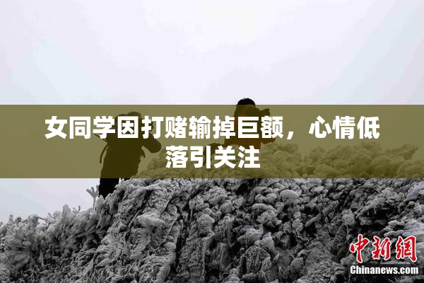 女同学因打赌输掉巨额，心情低落引关注