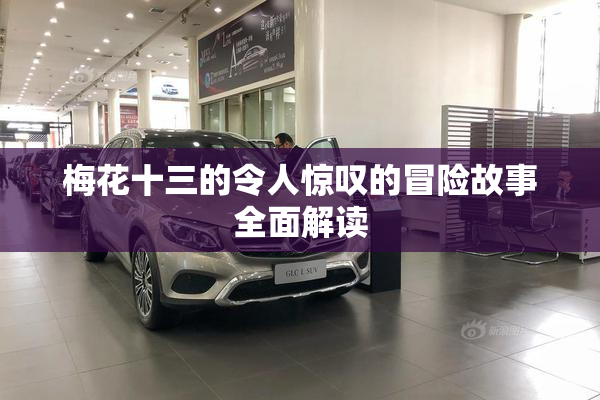梅花十三的令人惊叹的冒险故事全面解读