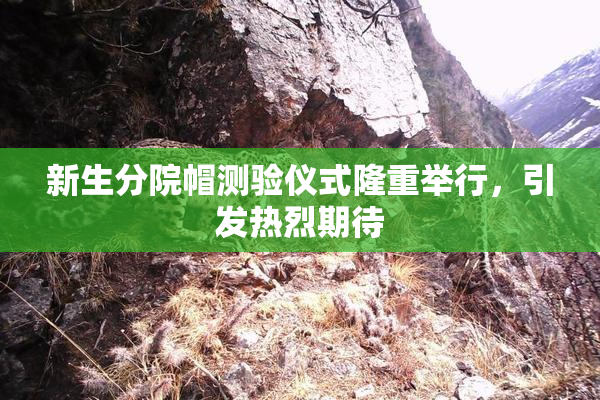 新生分院帽测验仪式隆重举行，引发热烈期待