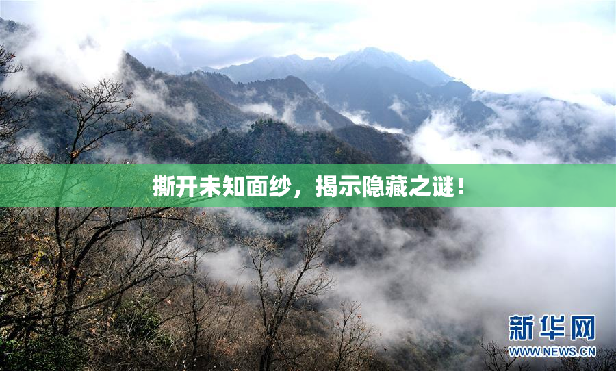 撕开未知面纱，揭示隐藏之谜！