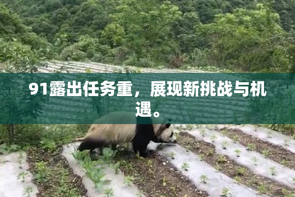 91露出任务重，展现新挑战与机遇。