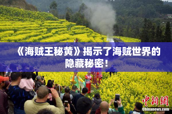 《海贼王秘黄》揭示了海贼世界的隐藏秘密！