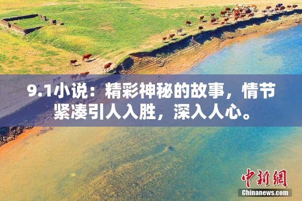 9.1小说：精彩神秘的故事，情节紧凑引人入胜，深入人心。