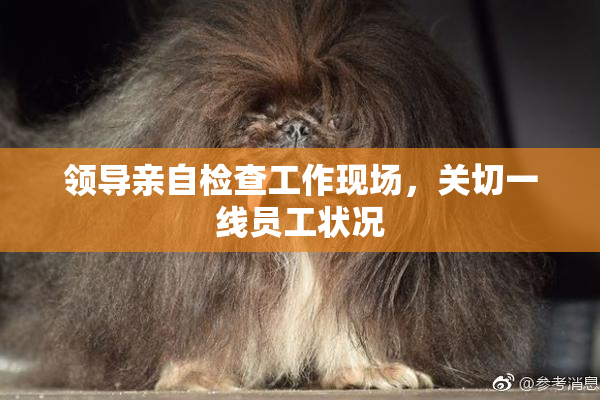 领导亲自检查工作现场，关切一线员工状况