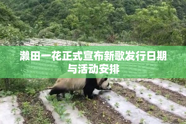 濑田一花正式宣布新歌发行日期与活动安排