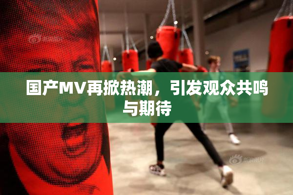 国产MV再掀热潮，引发观众共鸣与期待
