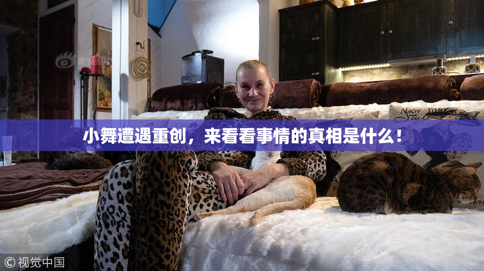小舞遭遇重创，来看看事情的真相是什么！