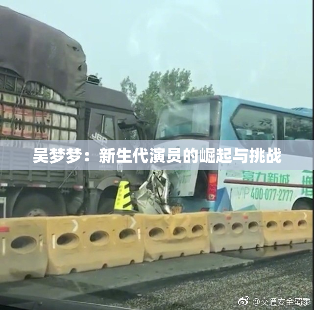吴梦梦：新生代演员的崛起与挑战