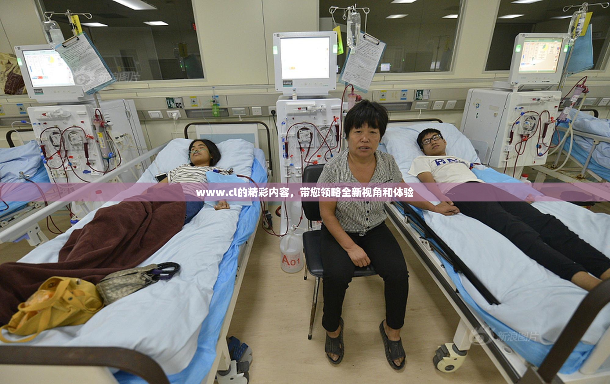 www.cl的精彩内容，带您领略全新视角和体验
