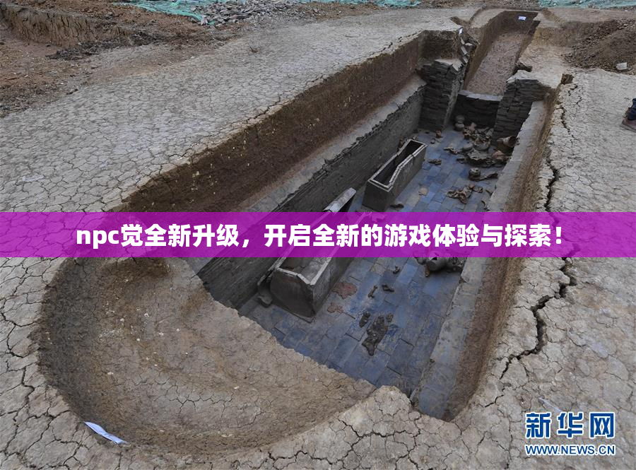 npc觉全新升级，开启全新的游戏体验与探索！
