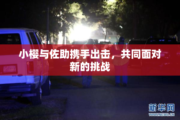 小樱与佐助携手出击，共同面对新的挑战
