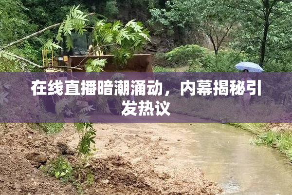 在线直播暗潮涌动，内幕揭秘引发热议