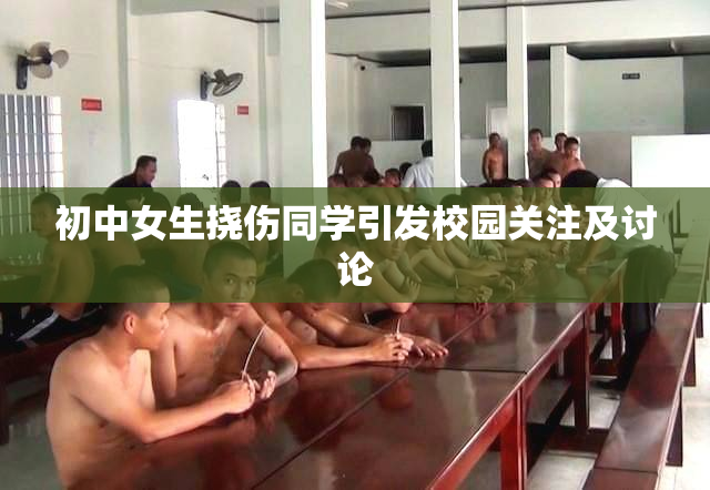 初中女生挠伤同学引发校园关注及讨论