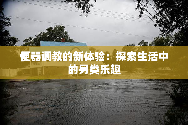 便器调教的新体验：探索生活中的另类乐趣