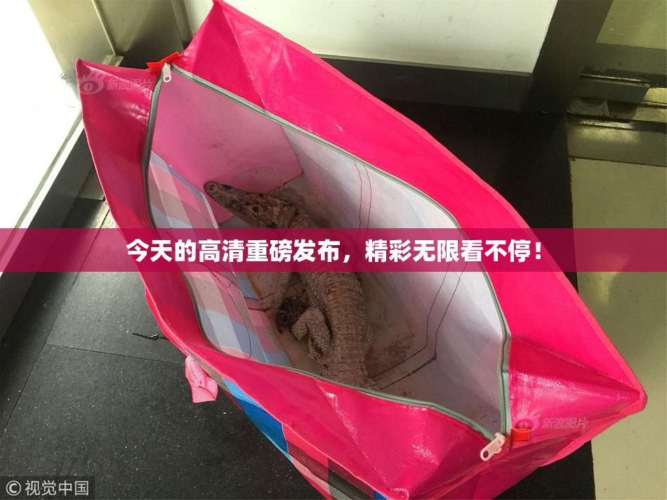 今天的高清重磅发布，精彩无限看不停！